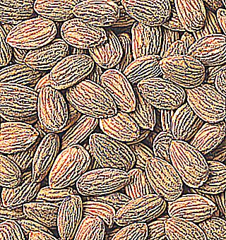 Almonds For Potency