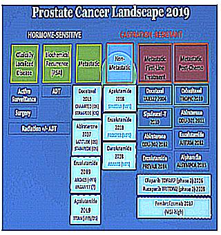 Alternative Methods In The Treatment Of Prostate Cancer