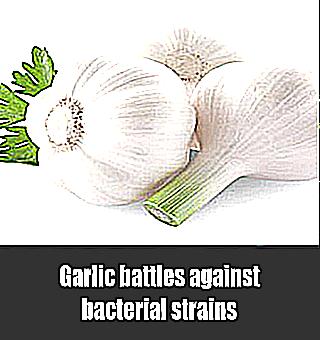 Benefits Of Garlic In Treating Prostatitis