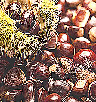 Chestnut For Potency