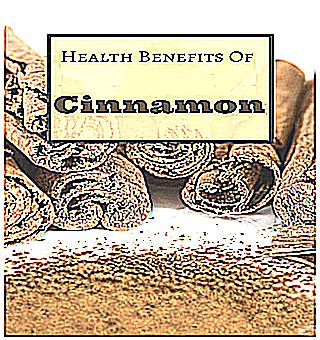 Cinnamon Spice 1 To Increase Potency In Men