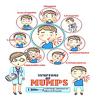 Consequences Of Mumps In Men What Is The Probability Of Infertility
