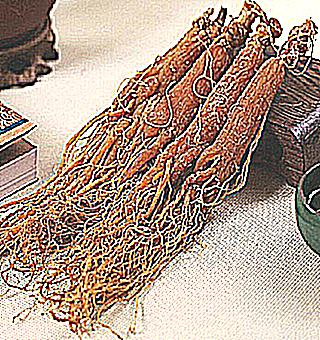 Does Red Ginseng Help With Impotence