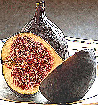Figs Stimulating Fruit To Restore Potency