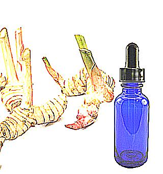 Galangal Tincture For Potency