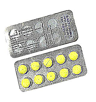 Generic Dapoxetine Priligy Bulk Pills