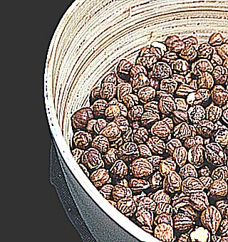 Hazelnuts To Increase Potency