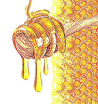 How Honey Helps With Impotence