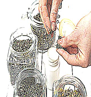 How To Cure Potency With A Folk Remedy