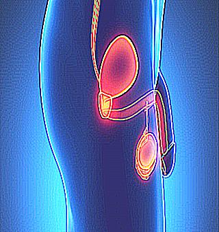 How To Cure Prostatitis With Squat Exercises And Tips