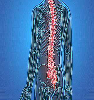 Impaired Potency In Spinal Cord Injury