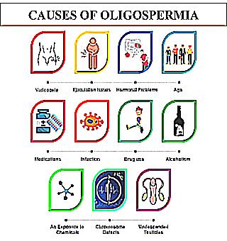 Oligospermia Can It Be Cured