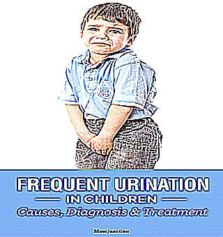 Pollakiuria Frequent Urination Causes Treatment