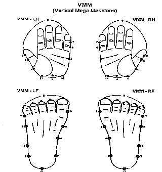 Rectal Finger Stimulation Of The Glandular Organ
