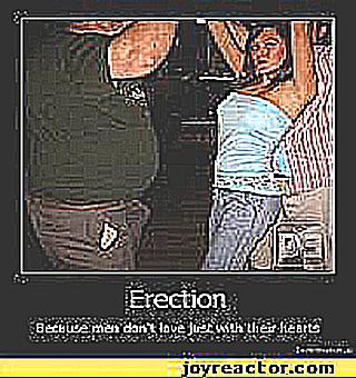 Simple Rules For A Good Erection