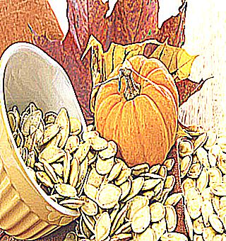 The Benefits And Harms Of Pumpkin Seeds For Men Effectiveness