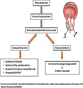 Use Of Trichopolum In The Treatment Of Prostatitis