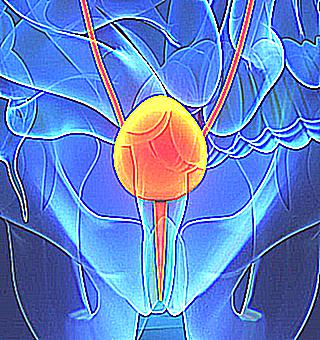 What Drugs To Treat Urethritis In Women