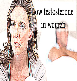 What Role Does Testosterone Play In Women Testosterone Production In Women