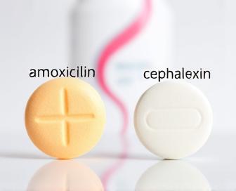 Comparison of Amoxicillin vs Cephalexin Antibiotics