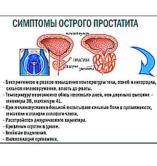 Doctor Butchers About Prostatitis And Prostate Adenoma