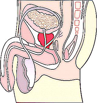 Improvement Of Erectile Function After A Course Of Prostate Massage