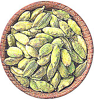 Using Cardamom To Increase Male Potency