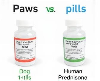 Comparison of prednisone pills for humans and dogs