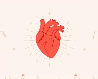 Prednisone and Heart Rate Connection