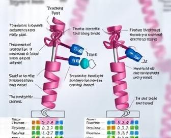 Schematic representation of tamoxifen's mechanism of action